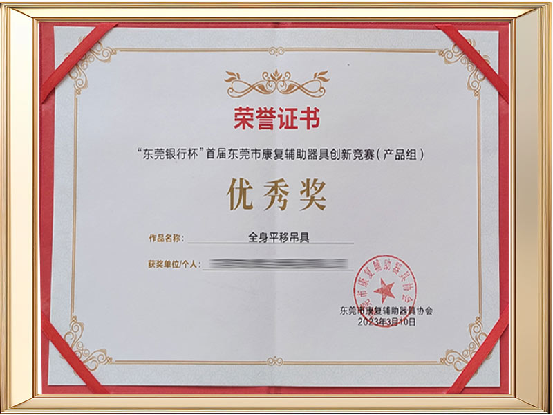 Premio excepcional por el tren de deslizde de cuerpo entero